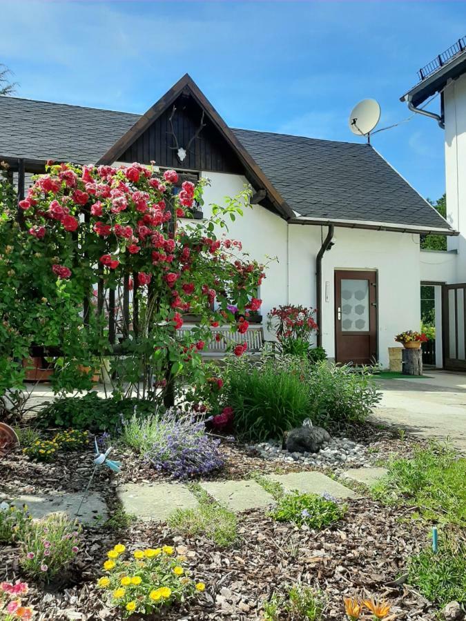Ferienhaus Schoene Hohnstein Zewnętrze zdjęcie